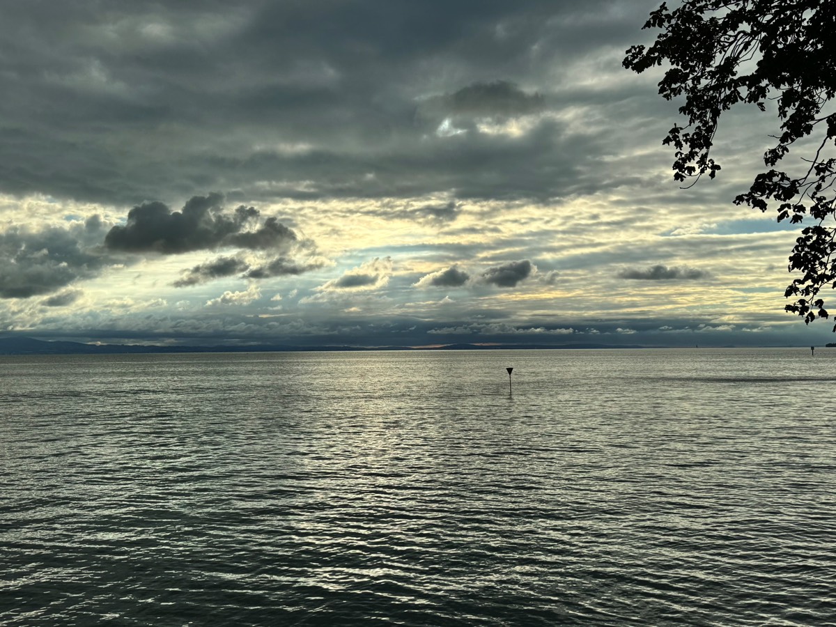 Stacks Image 83