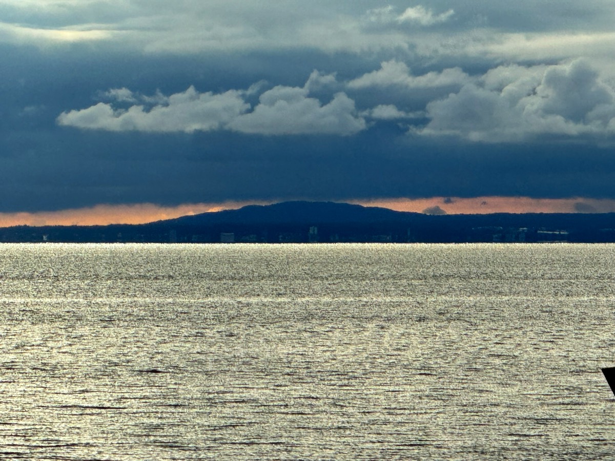 Stacks Image 81